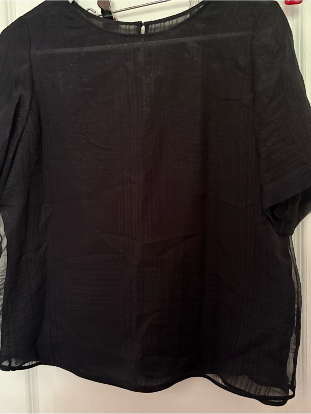 Classic Black Sheer Women’s Blouse